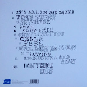 TEENAGE FUNCLUB - MAN-MADE - Görsel 2