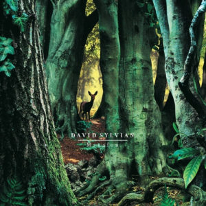 DAVID SYLVIAN - MANAFON