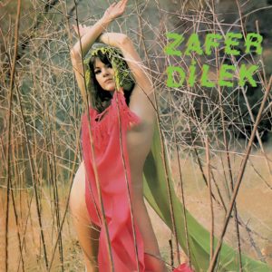 ZAFER DİLEK - OYUN HAVALARI