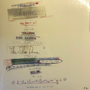 PJ HARVEY - UH HUH HER - Görsel 2