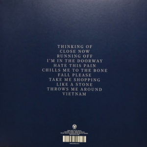 TRICKY - FALL TO PIECES - Görsel 2