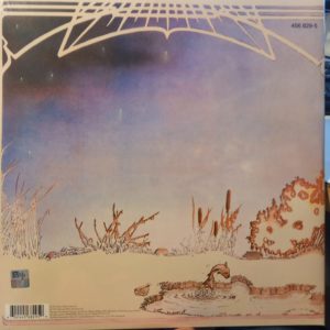 CAMEL - MOONMADNESS - Görsel 2