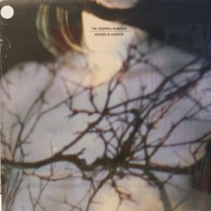 CREEPING NOBODIES - AUGURS & AUSPICES - Görsel 1