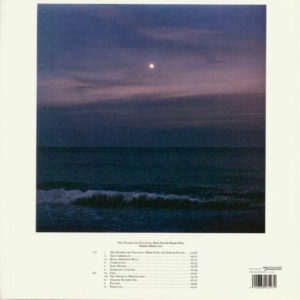 DAMON ALBARN - THE NEARER THE FOUNTAIN - Görsel 2