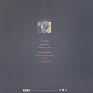 TINDERSTICKS - DISTRACTIONS - Görsel 2