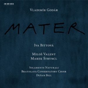 VLADIMIR GODAR - MATER