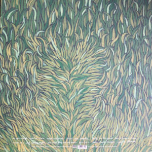 IRON AND WINE - OUR ENDLESS NUMBERED DAYS - Görsel 2