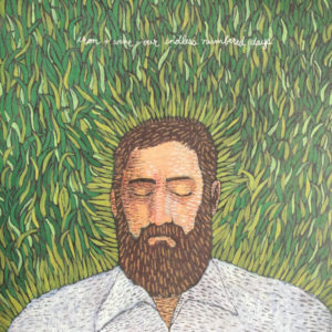 IRON AND WINE - OUR ENDLESS NUMBERED DAYS - Görsel 1