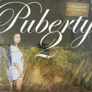 MITSKI - PUBERTY 2 - Görsel 1