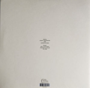 SLOWDIVE - EVERYTHING IS ALIVE - Görsel 2