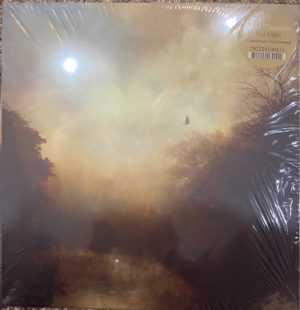 STRAY THEORIES - THIS LIGHT (RENKLİ PLAK) - Görsel 1