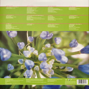 FIONA APPLE - EXTRAORDINARY MACHINE - Görsel 2