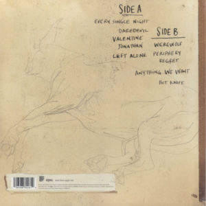 FIONA APPLE - THE IDLER WHEEL IS WISER THAN THE DRIVER... - Görsel 2