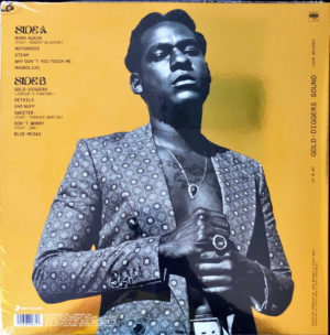 LEON BRIDGES - GOLD-DIGGERS SOUND - Görsel 2