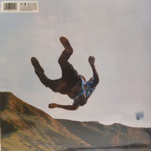 TYLER THE CREATOR - WOLF (RENKLİ PLAK) - Görsel 2