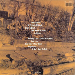 NAS - ILLMATIC - Görsel 2