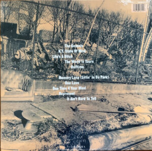 NAS - ILLMATIC (RENKLİ PLAK) - Görsel 2