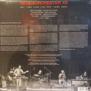 REGENORCHESTER XII (FRANZ HAUTZINGER-CHRISTIAN FENNESZ-OTOMOYOSHIHIDE-LUC EX-TONY BUCK) - RELICS - Görsel 2