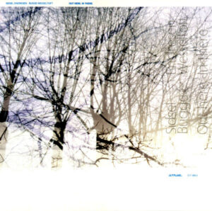 SIDSEL ENDRESEN - BUGGE WESSELTOFT - OUT HERE IN THERE