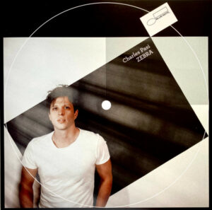 CHARLES PASI - ZEBRA - Görsel 1