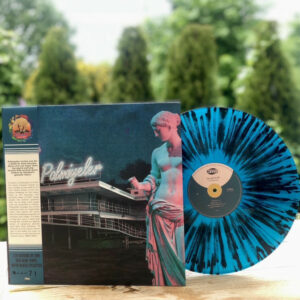 PALMİYELER - II (VENUS) (RENKLİ PLAK) - Görsel 3