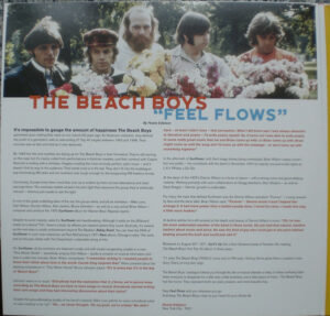 BEACH BOYS - FEEL FLOWS - Görsel 2