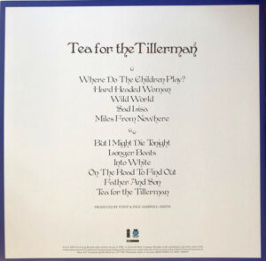 CAT STEVENS - TEA FOR THE TILLERMAN 2 - Görsel 2