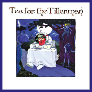 CAT STEVENS - TEA FOR THE TILLERMAN 2 - Görsel 1