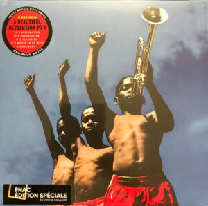 COMMON - A BEAUTIFUL REVOLUTION (PT 1) (RENKLİ PLAK) - Görsel 1