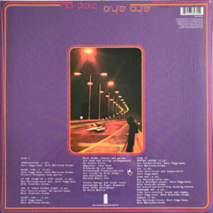 NICK DRAKE - BRYTER LAYTER - Görsel 2