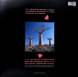 PINK FLOYD - DELICATE SOUND OF THUNDER - Görsel 2