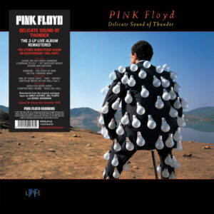 PINK FLOYD - DELICATE SOUND OF THUNDER - Görsel 1