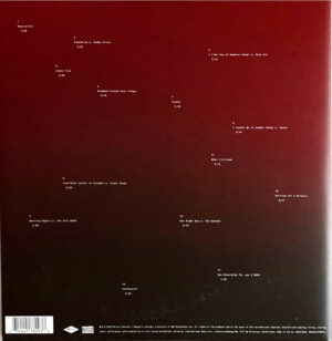 POST MALONE - TWELVE CARAT TOOTACHE (RENKLİ PLAK) - Görsel 2