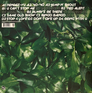 BASEMENT JAXX - REMEDY (RENKLİ PLAK) - Görsel 2