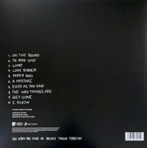 FIONA APPLE - WHEN THE PAWN - Görsel 2