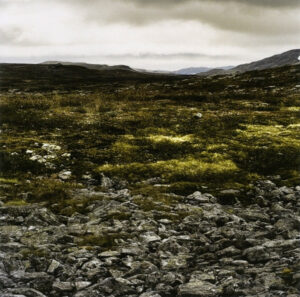 METHENY MEHLDOU QUARTET - METHENY MEHLDOU QUARTET