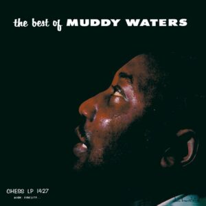 MUDDY WATERS - THE BEST OF MUDDY WATERS - Görsel 1