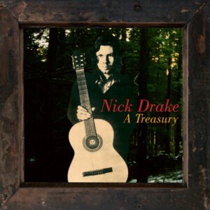 NICK DRAKE - A TREASURY - Görsel 1