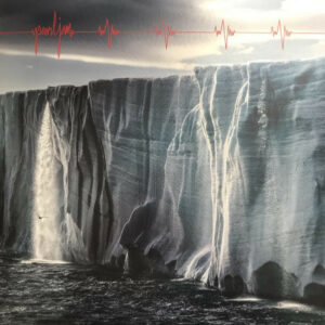 PEARL JAM - GIGATON - Görsel 1