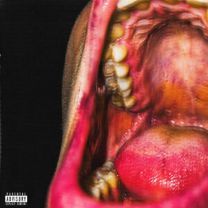 KAMUFLE - TÜM SUÇ RİTİMLERİN