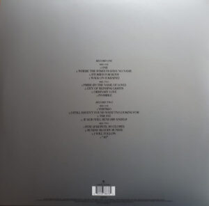 U2 - SONGS OF SURRENDER - Görsel 2