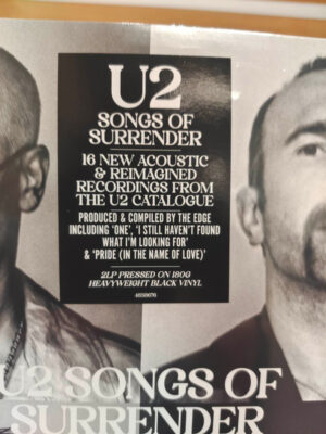 U2 - SONGS OF SURRENDER - Görsel 3