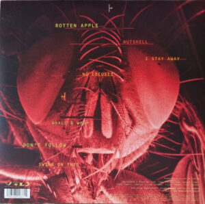 ALICE IN CHAINS - JAR OF FLIES - Görsel 2