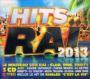 ÇEŞİTLİ SANATÇILAR - HITS RAI 2013 (3CD)