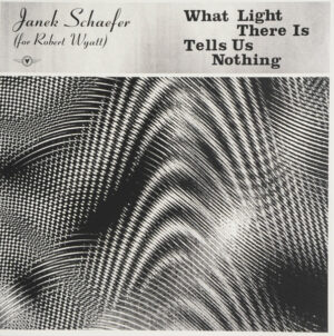 JANEK SCHAEFER (FOR ROBERT WYATT) - WHAT LIGHT THERE IS TELLS US NOTHING (RENKLİ PLAK) - Görsel 1