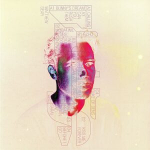 MATTHEW DEAR - BUNNY - Görsel 2