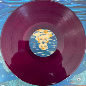 SHAME - FOOD FOR WORMS (RENKLİ PLAK) - Görsel 4