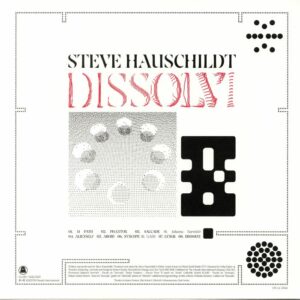 STEVE HAUSCHILDT - DISSOLVI - Görsel 2