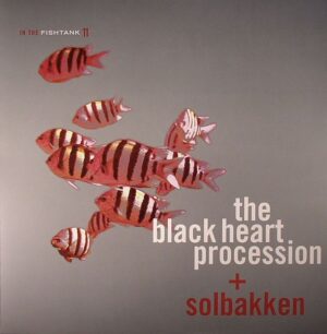 BLACK HEART PROCESSION - SOLBAKKEN - IN THE FISHTANK 11 (RENKLİ PLAK) - Görsel 1