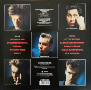 NICK CAVE AND THE BAD SEEDS - TENDER PREY - Görsel 2